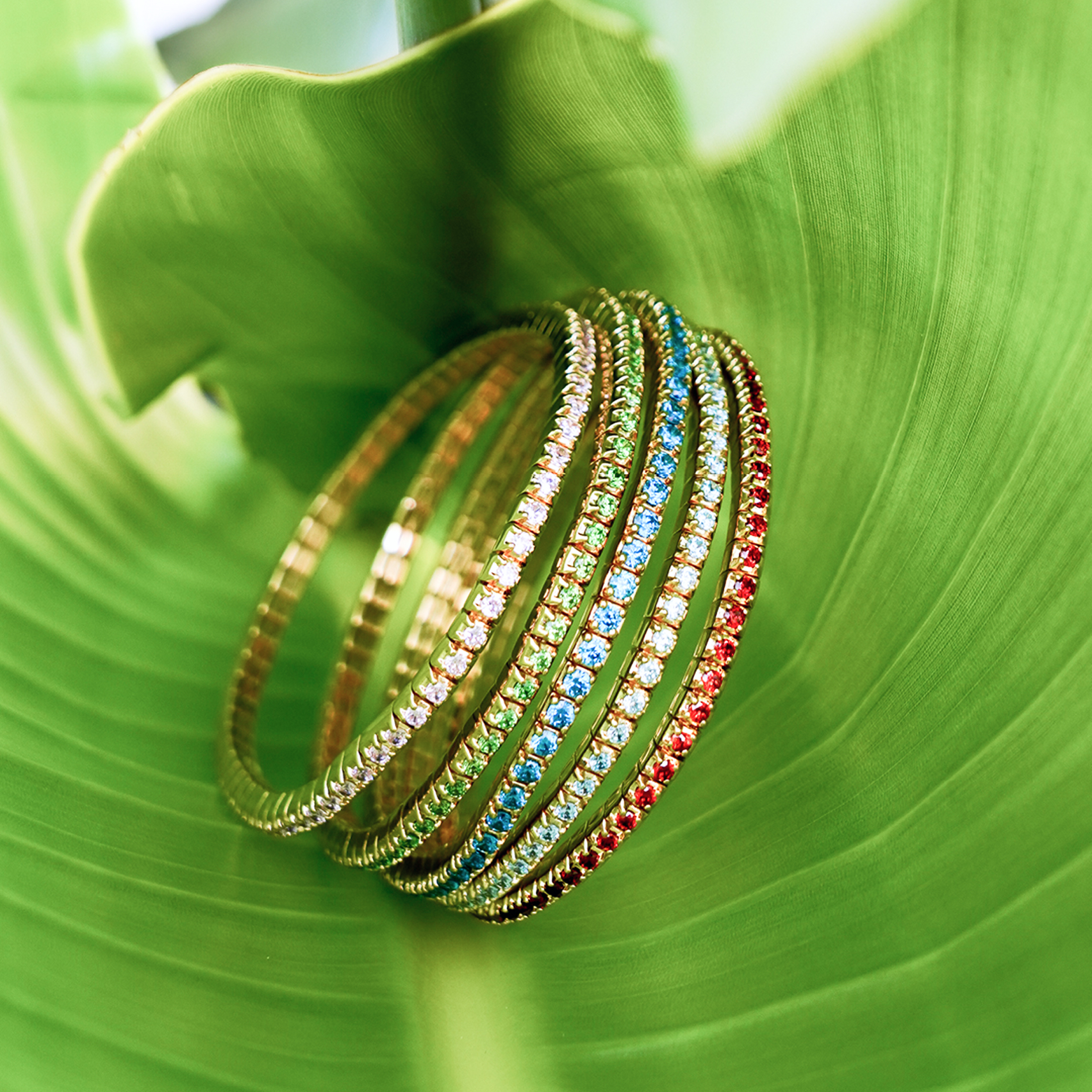 DAZZLING-COLORS FLEX